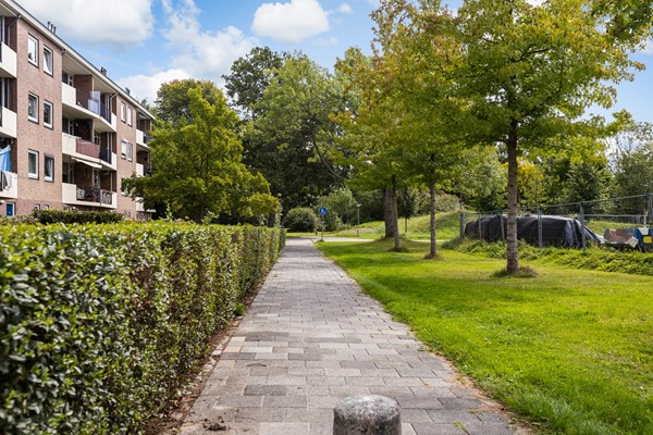 Medium property photo - Van Hallstraat 19, 3317 SW Dordrecht